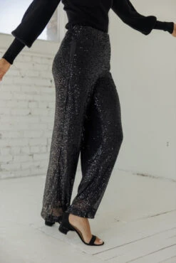 The Meira Shimmer Pants 22 The Meira Shimmer Pants -Arla Fashion 7W4A9826 33d0f4fd 2834 4b61 a42f 70f8424de011