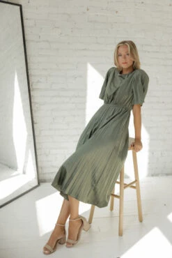 Genevieve Pleated Velvet Dress -Arla Fashion 7W4A9994 4c6aa941 7ea6 41bc be4a f96d1704631b